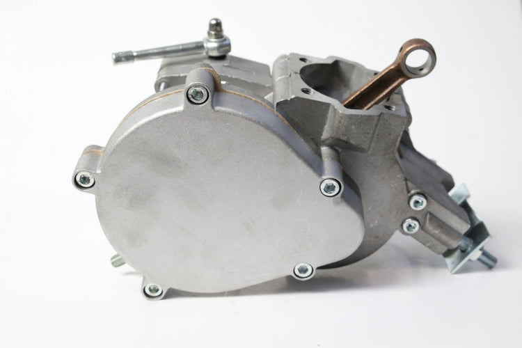 The Best 2 Stroke Motorized Bicycle Kit
