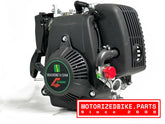 NEW Helio 49cc 4 Stroke Motor and Gearbox Combo - Motorized Bike Parts